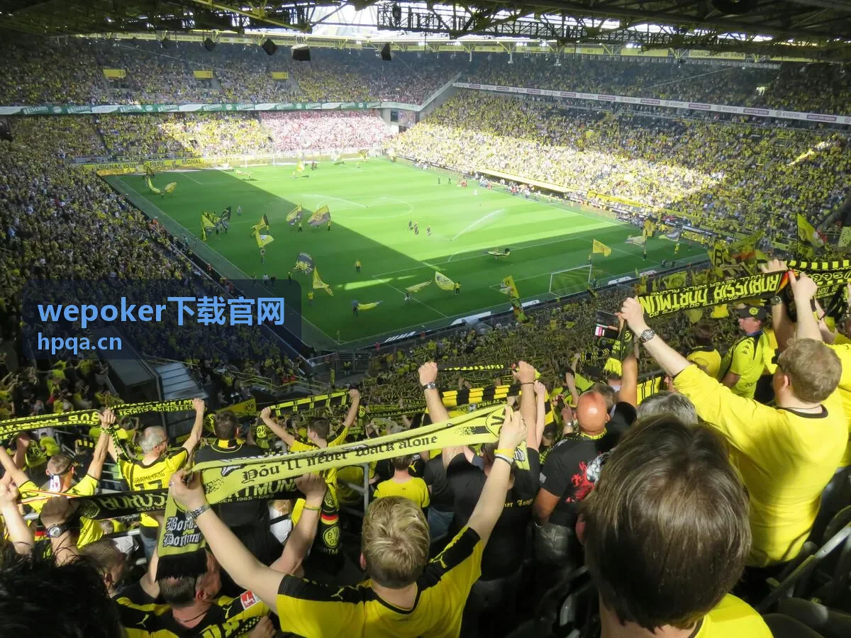 wepoker下载官网历史稳定版图标